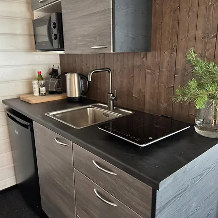 בקתה Lakelodge Kiehinen & Igloos *