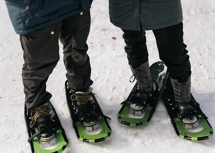 Lakelodge Kiehinen & Igloos * Rovaniemi