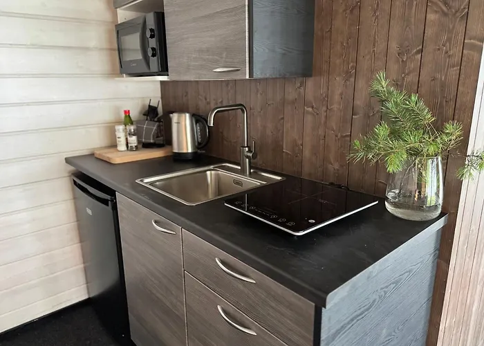 Chalé Lakelodge Kiehinen & Igloos *